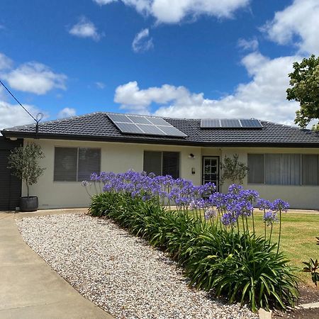 Вілла Para House, Tanunda. In The Heart Of The Barossa Valley!. Екстер'єр фото